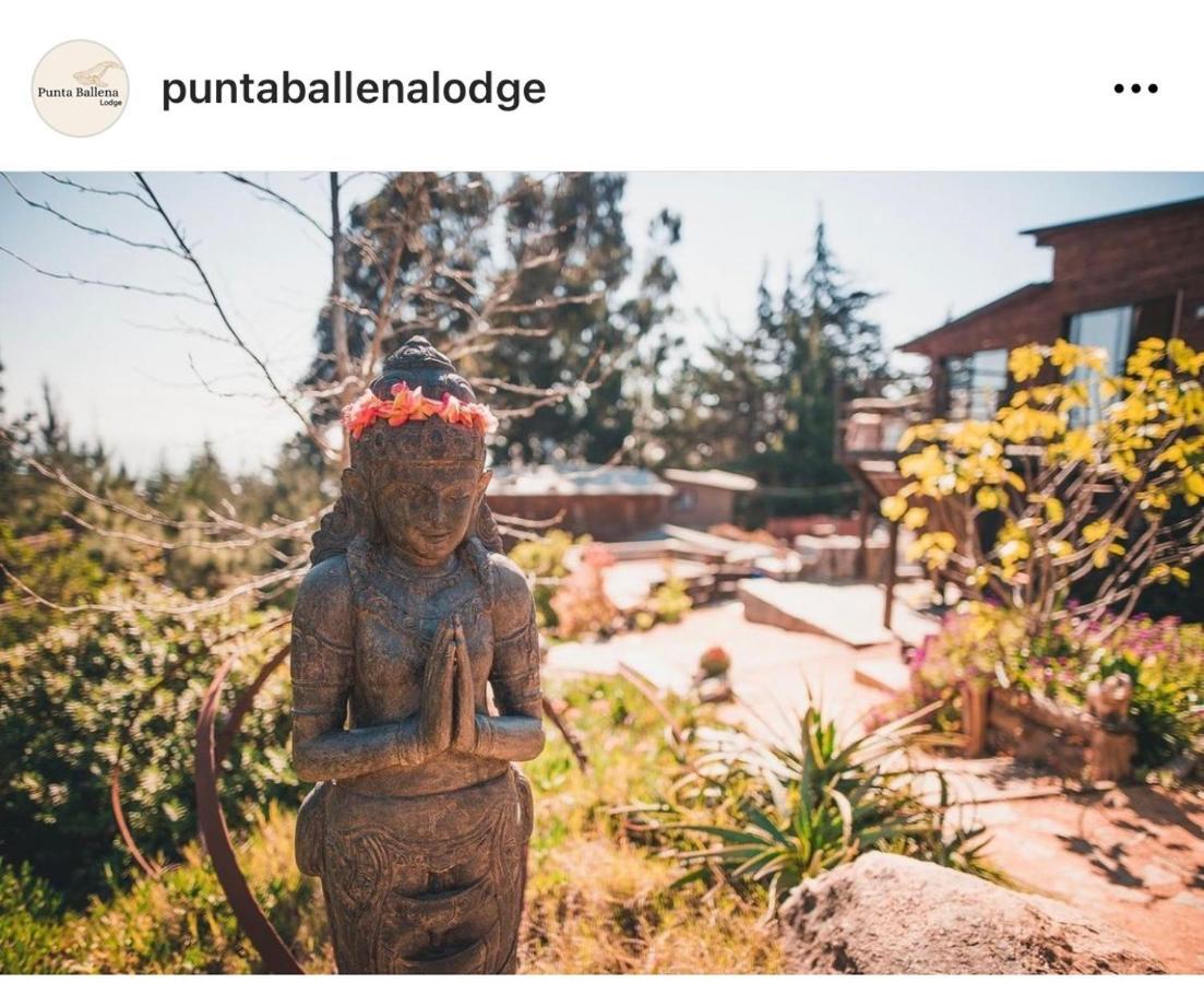 Punta Ballena Lodge Пічилему Екстер'єр фото